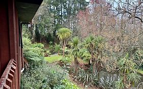 Peaceful Cottage In Beautiful Landscaped Native Bush Gully
